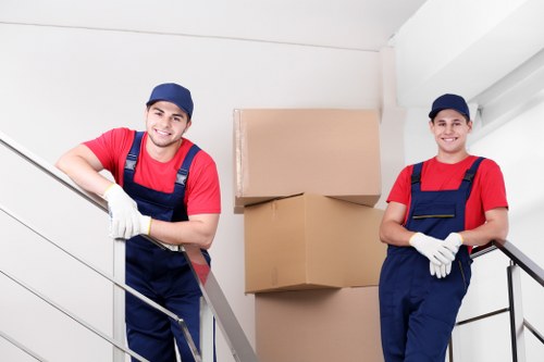 Customer complaint review for a man with van moving service